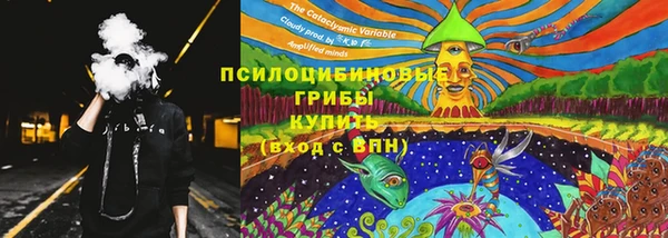 ешки Алексеевка