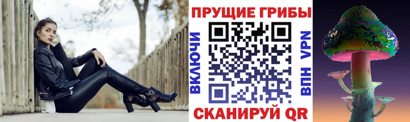 Галлюциногенные грибы Psilocybe  Покачи 