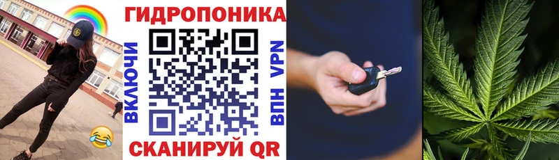 Бошки марихуана сатива  гидра tor  shop как зайти  Покачи 